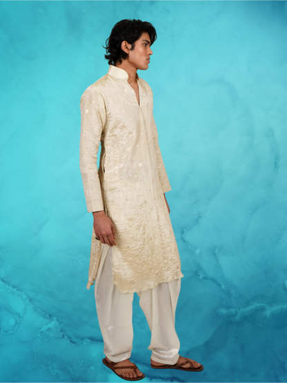 Gold Dot Tissue Off-white Kurta